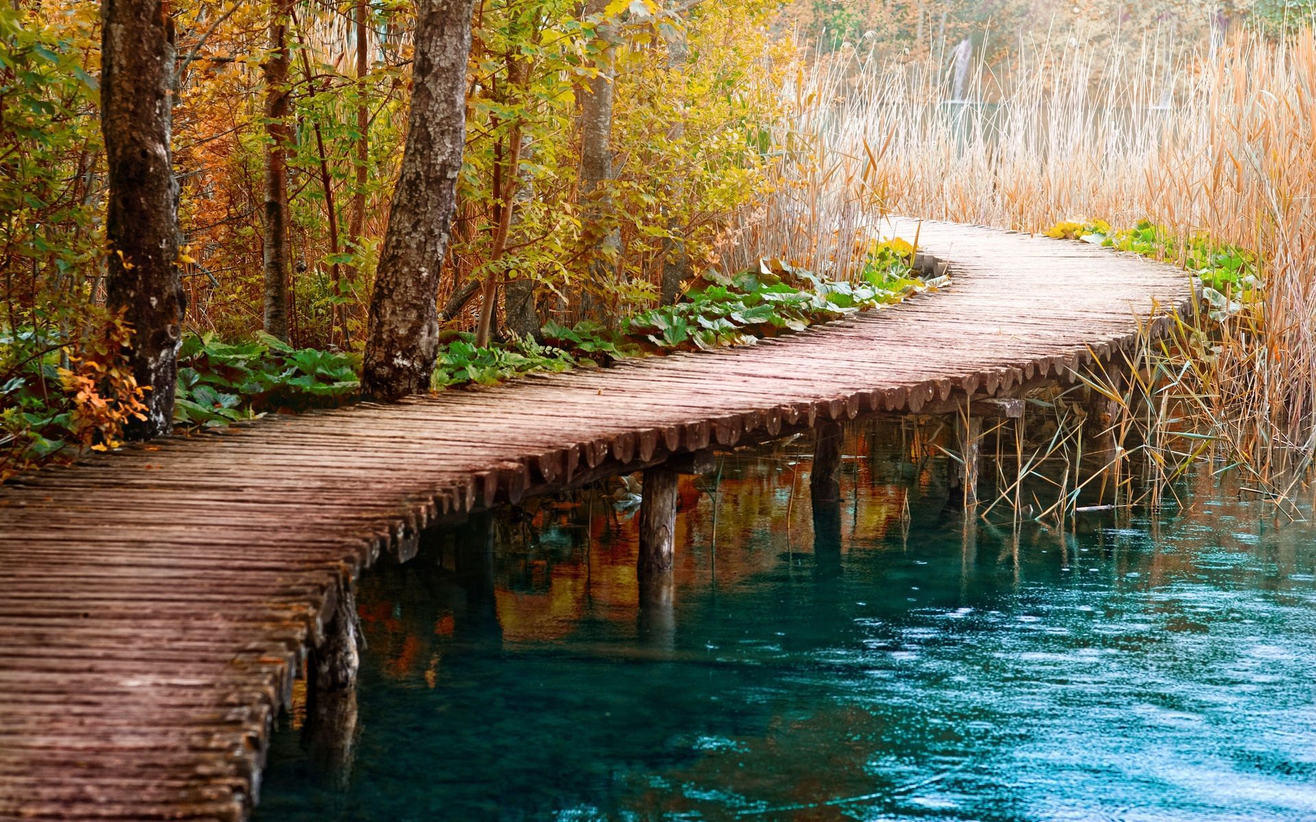 دریافت عکس استوک دیدنی از پل چوبی هلالی روی دریاچه