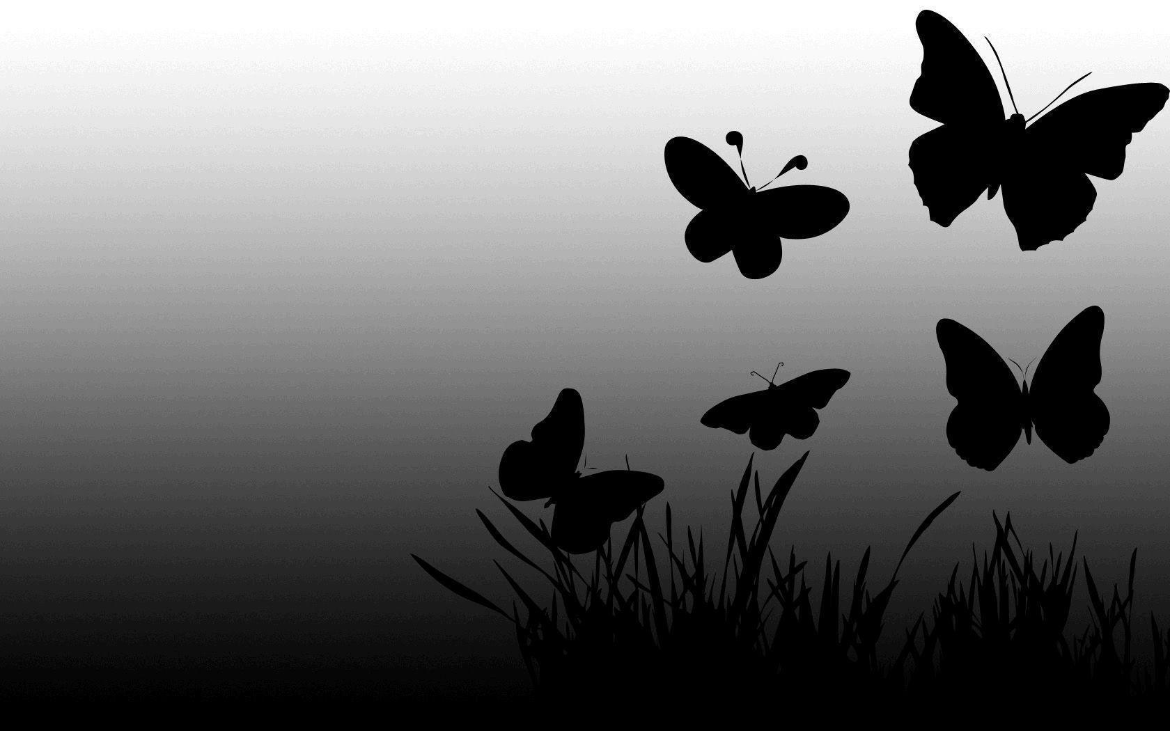 پس زمینه فوق العاده قشنگ از پروانه های سیاه 