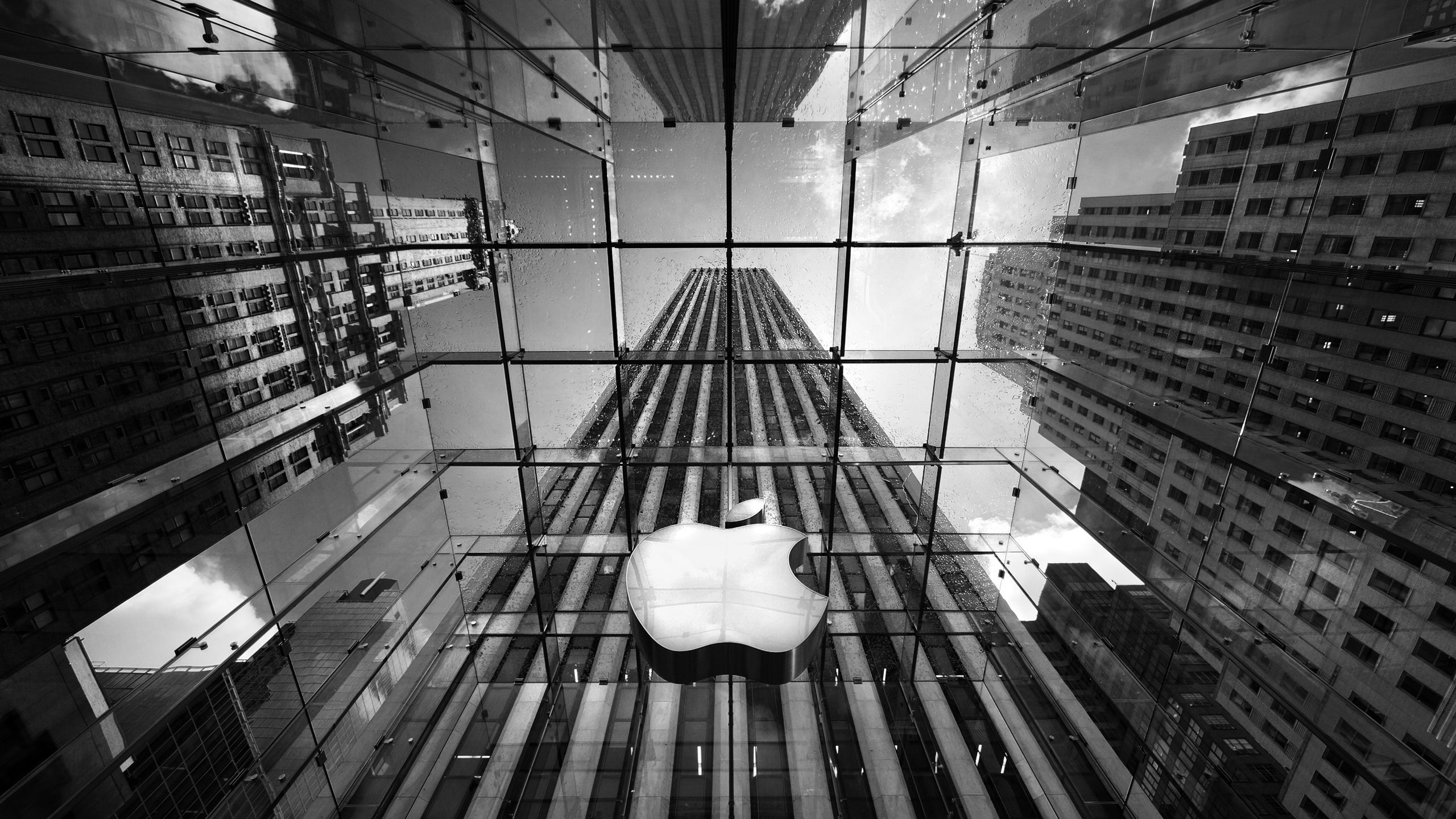 عکس خارق‌العاده از ساختمان بزرگ اپل با کیفیت بالا 