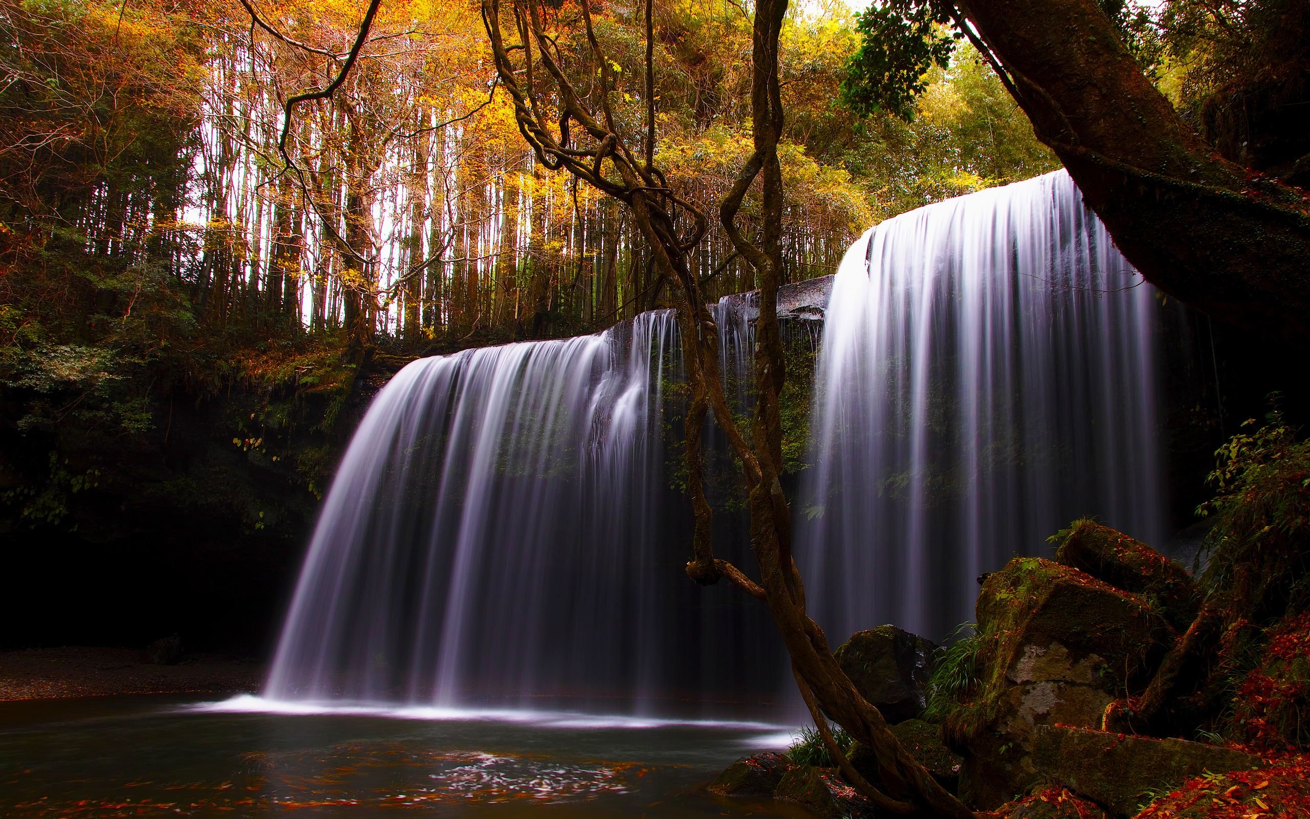 تصویر زمینه جذاب آبشار روان در قلب جنگل پاییزی برای ویندوز