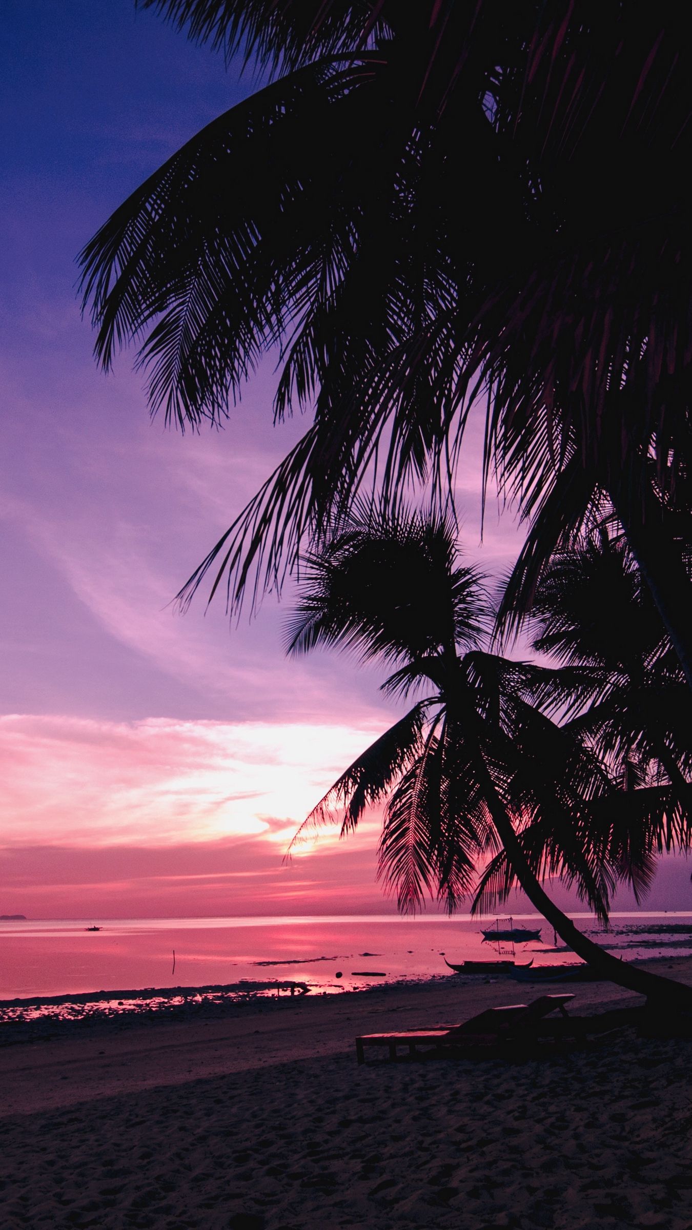 صحنه ای بینظیر از افق صورتی در جزایر اقیانوس آرام با درختان نخل برای زمینه لپ تاپ