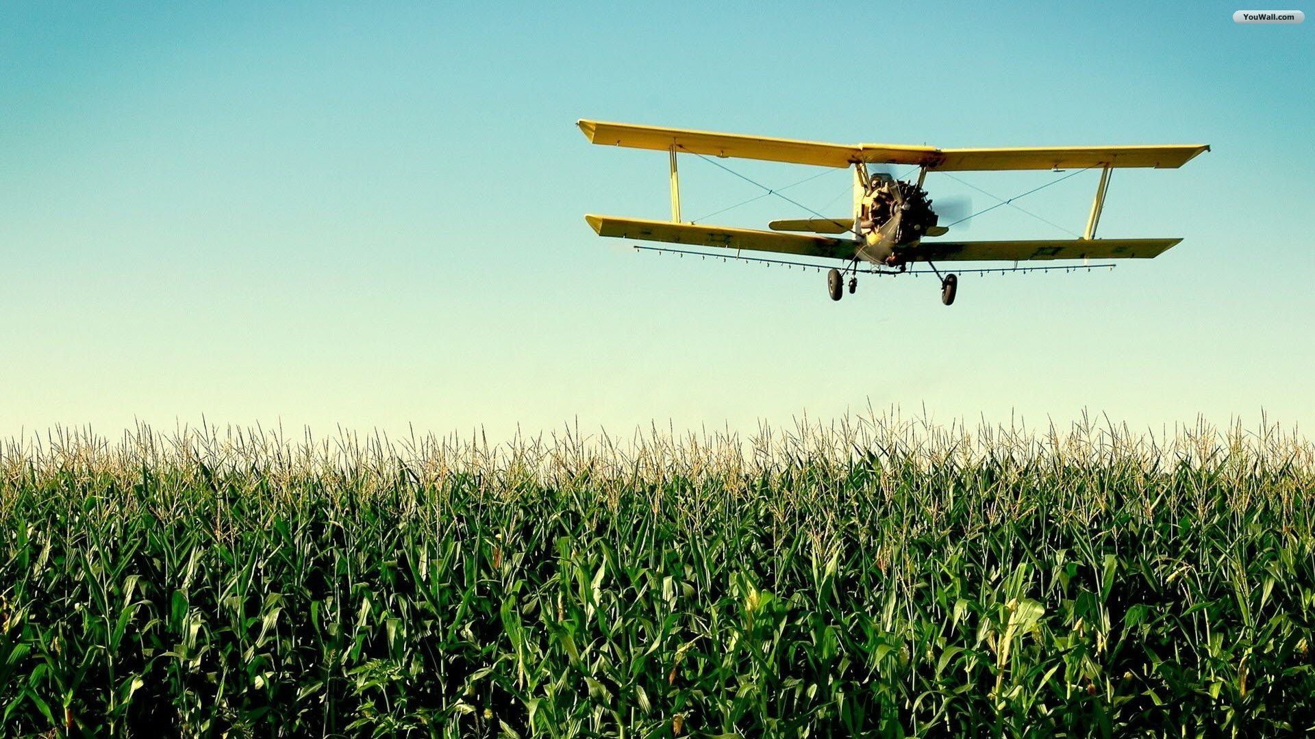 تصویر هواپیما قدیمی زرد رنگ بر فراز مزرعه سبز تماشایی