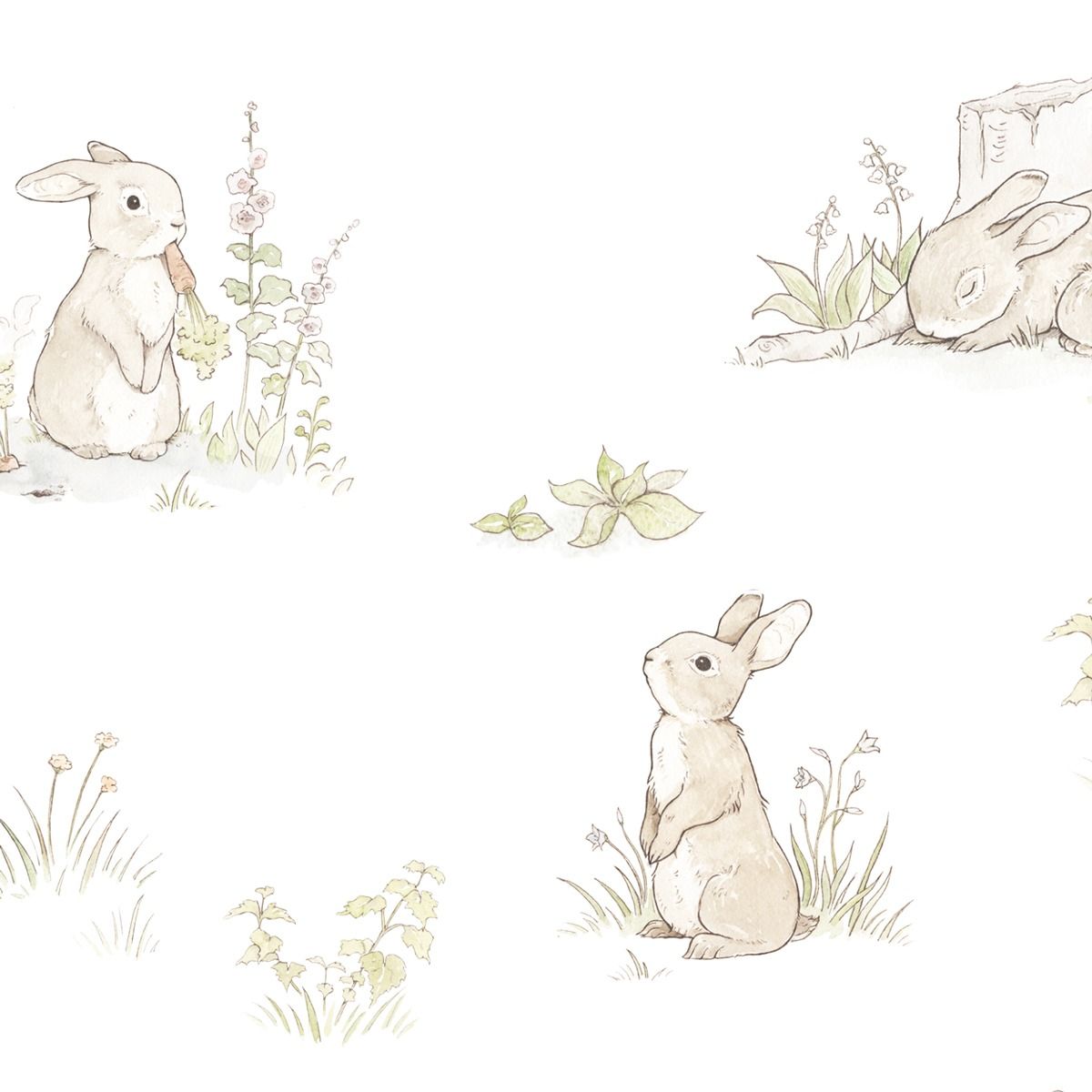 دانلود عکس نقاشی خرگوش وحشی با پس زمینه سفید 