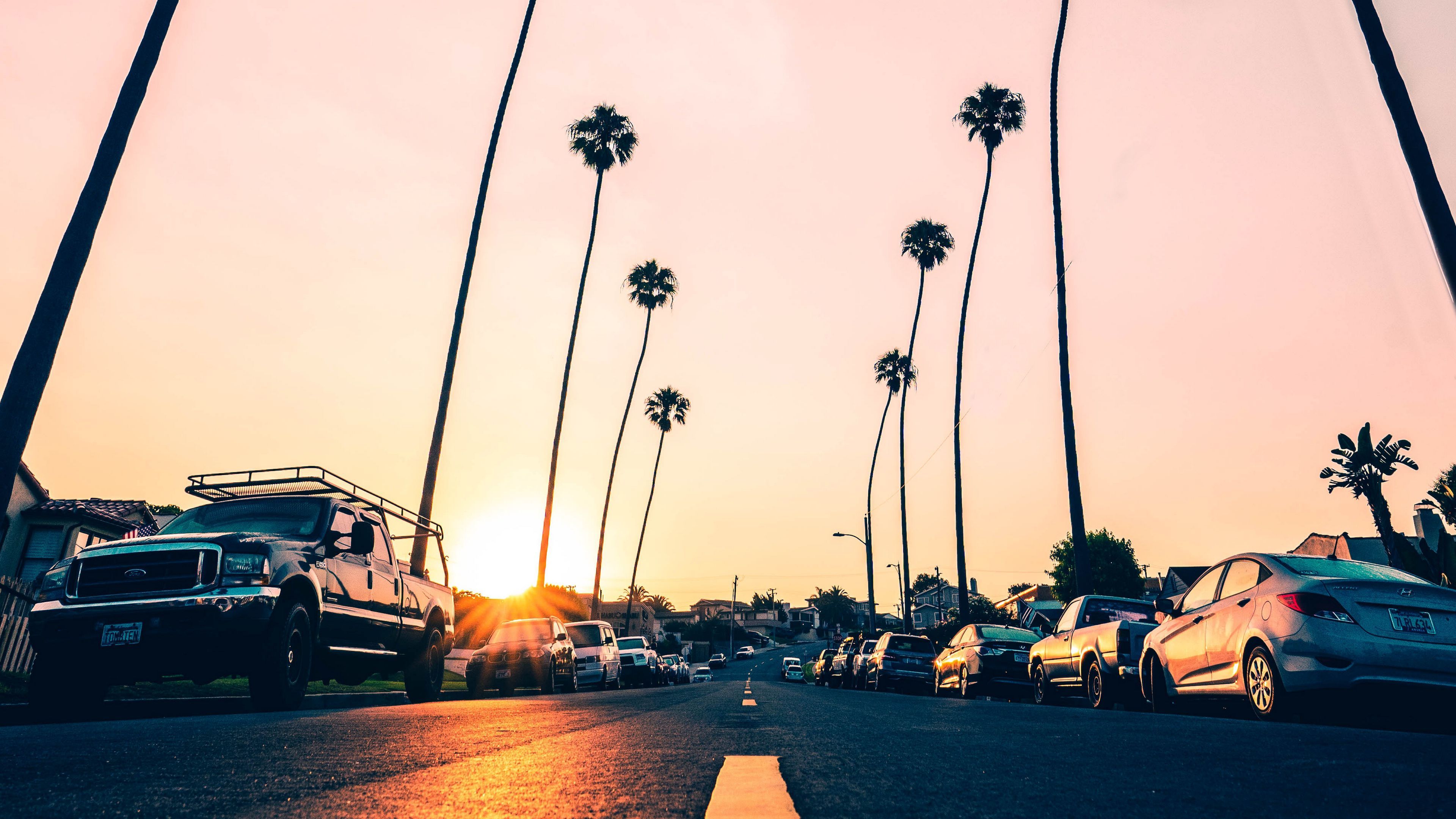 پس زمینه لپ تاپ خیابان های لس آنجلس کالیفرنیا با درختان دم روباهی