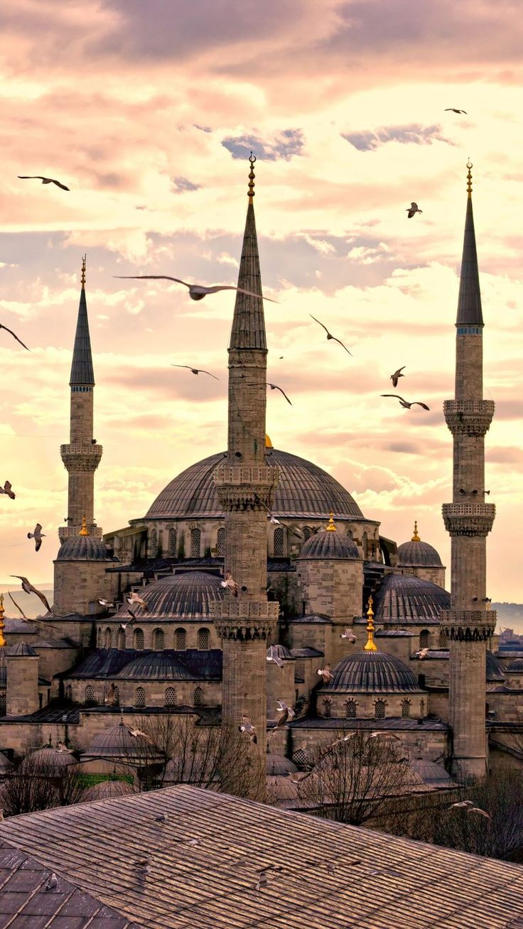 بکگراند شگفت انگیز و زیبا از مسجد با پرنده های قشنگ بالای آن 