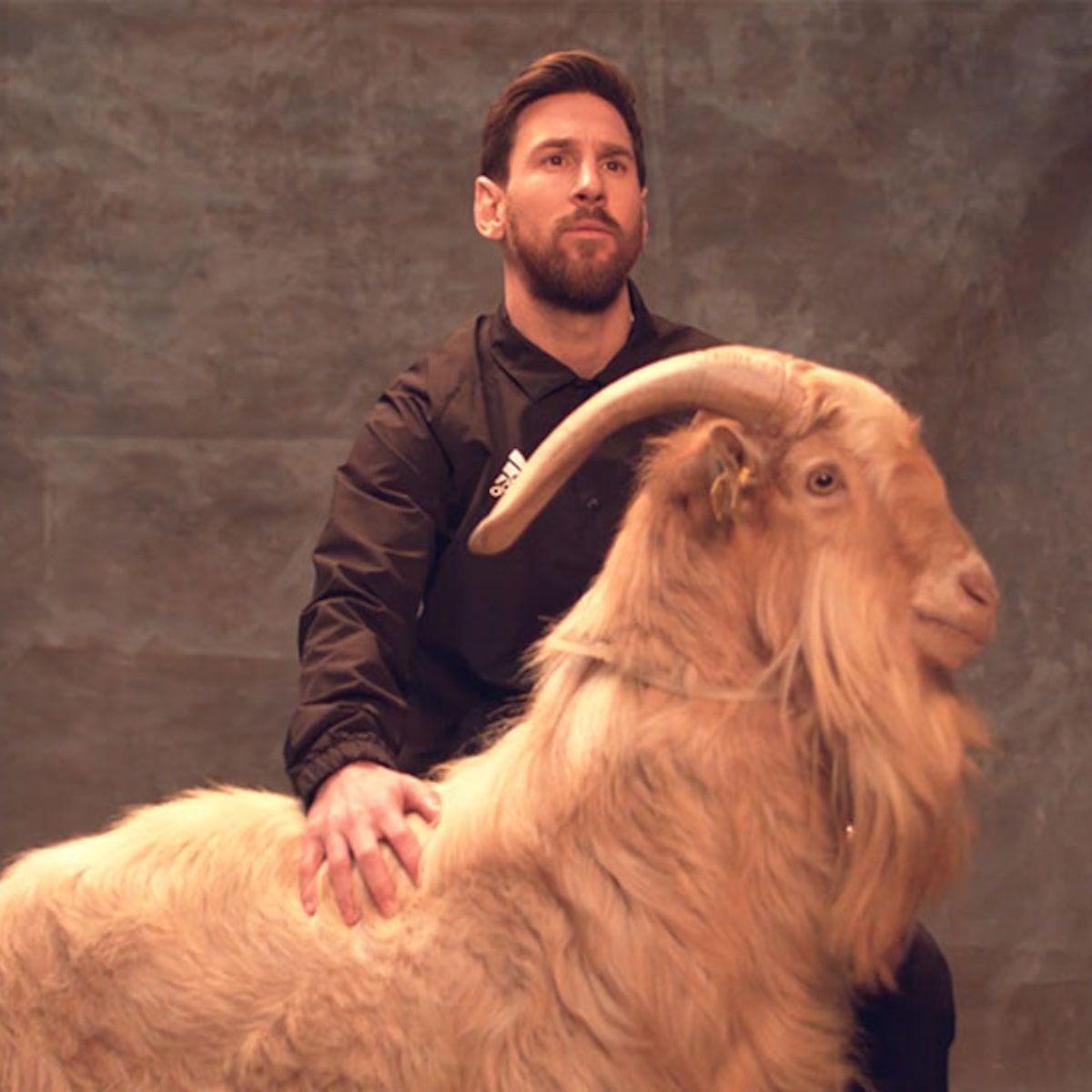 دانلود عکس ساده و باکیفیت از مسی و بز Goat فوتبال 