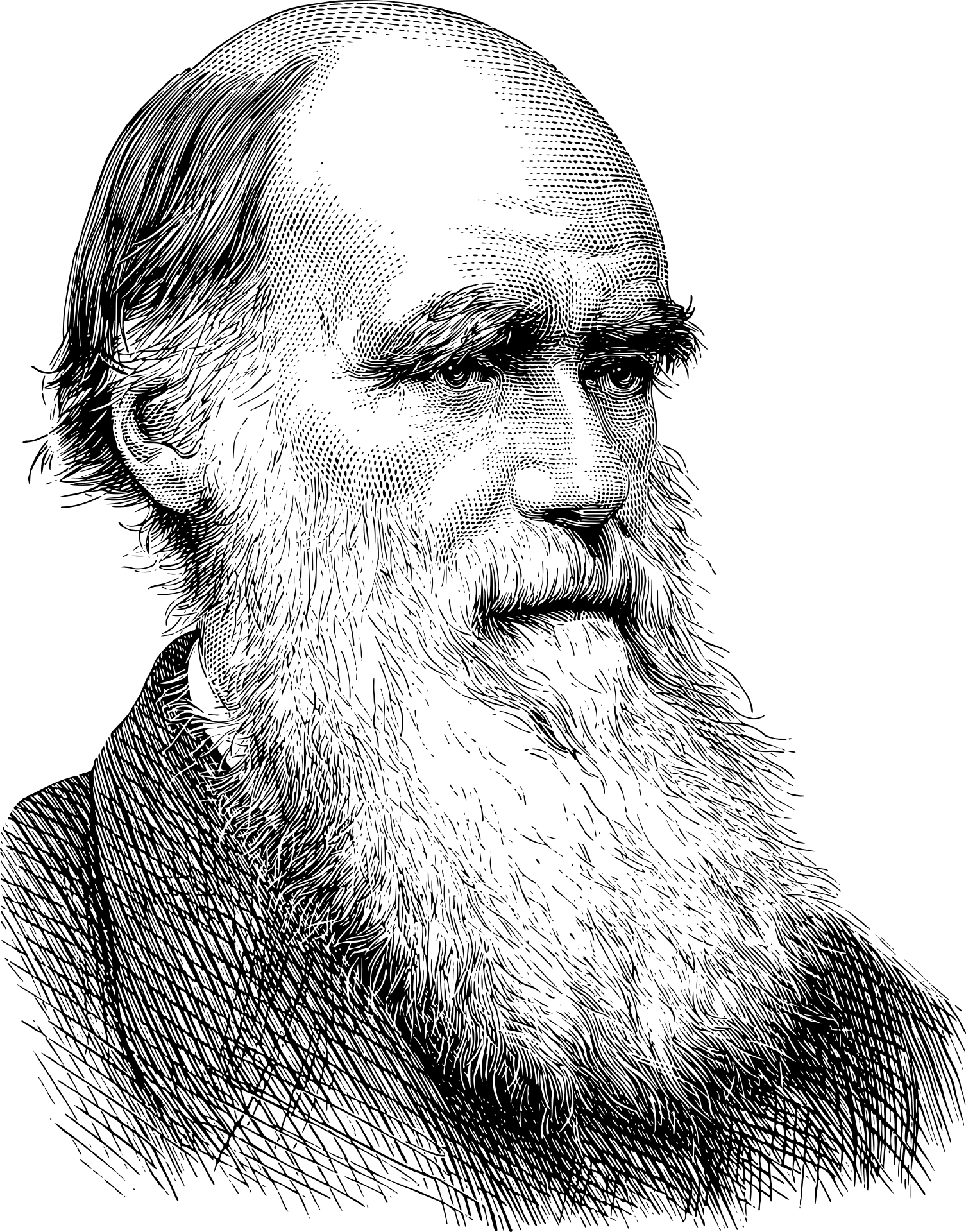 عکس جدید چارلز داروین دور بری شده و رایگان با فرمت پی ان جی PNG 