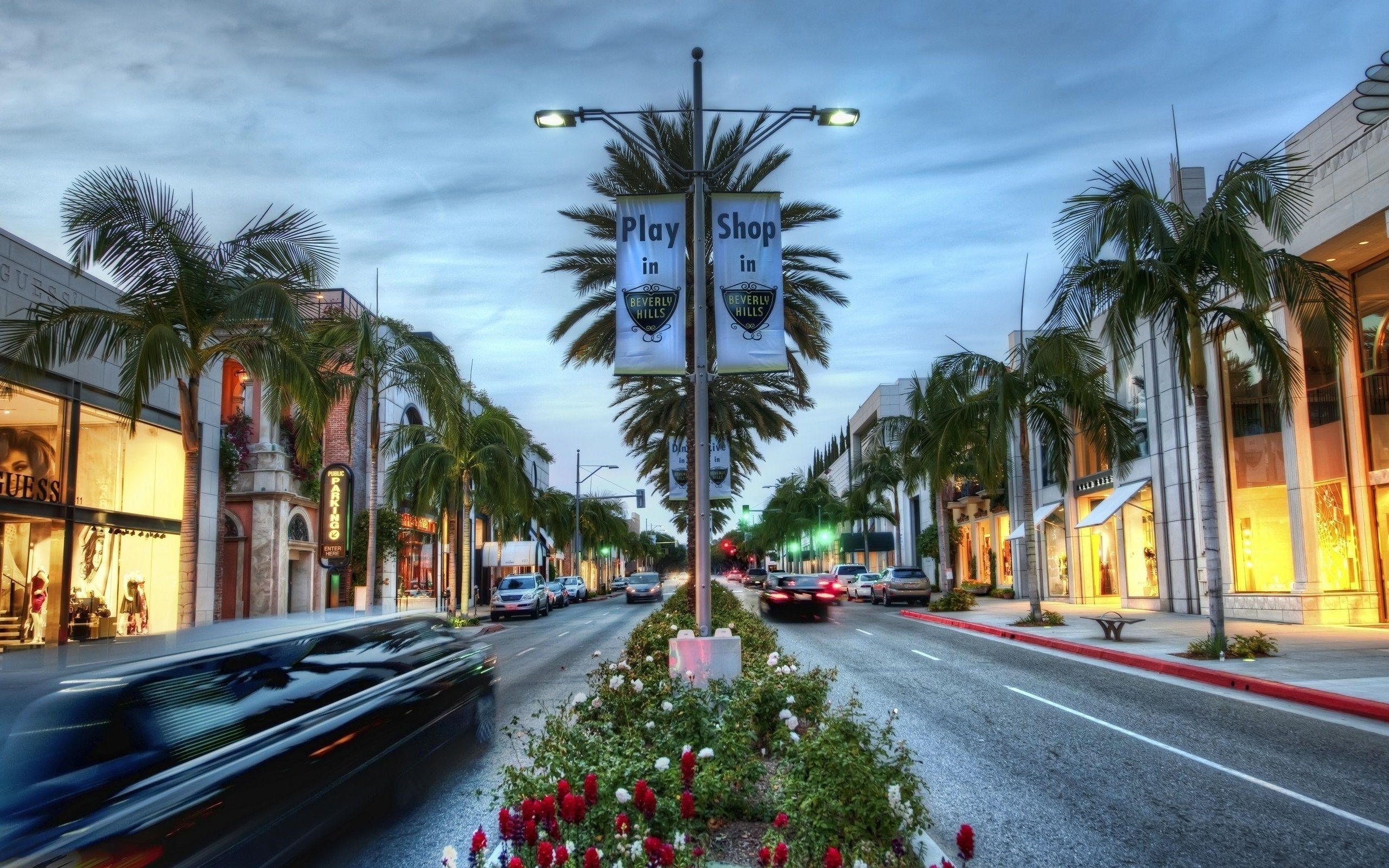 جدیدترین عکس از درختان نخل کوکوس در خیابان و فضای عمومی شهر لس آنجلس