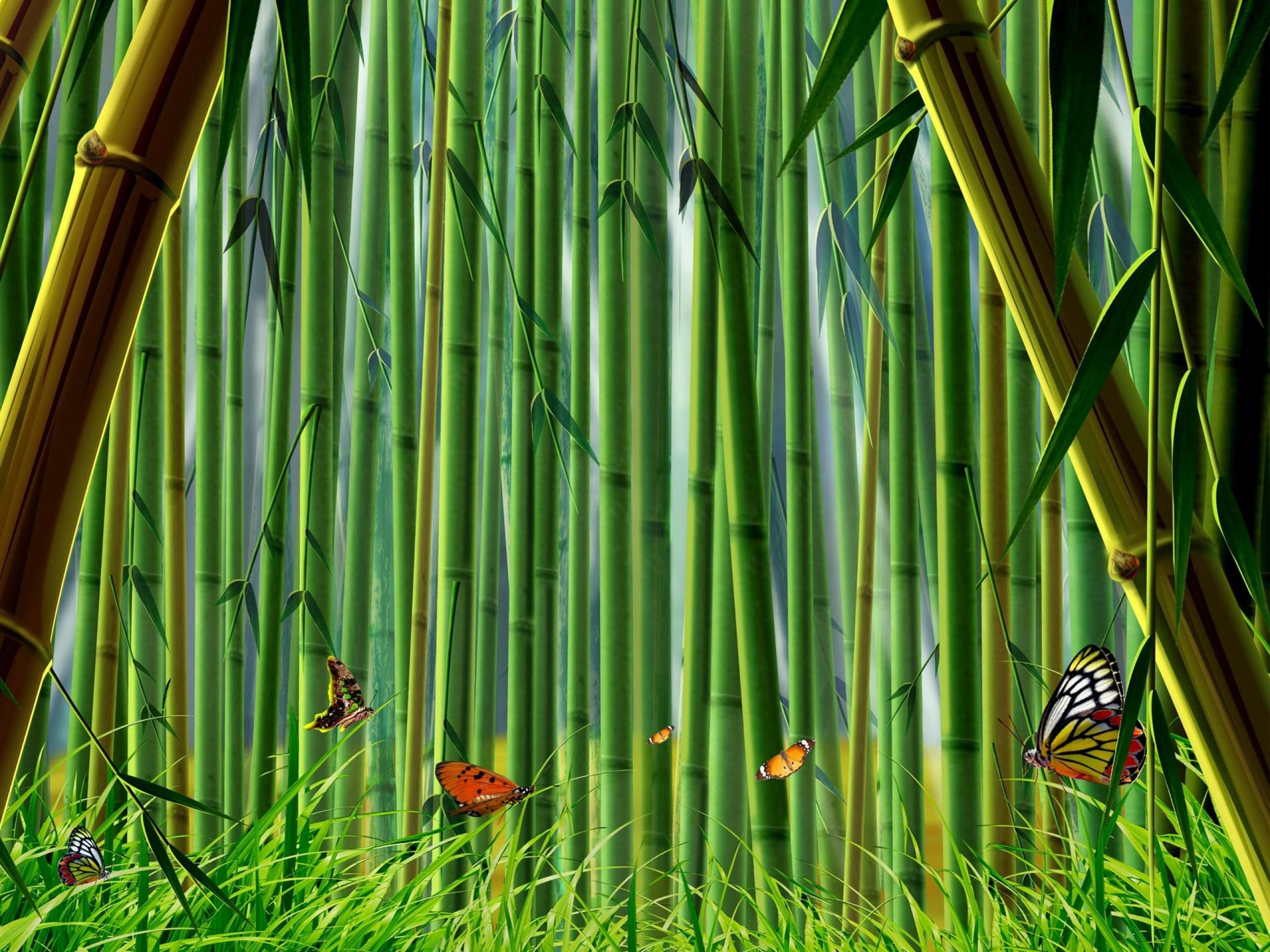 دانلود عکس گرافیکی جنگل های بامبو همراه پروانه های رنگی 