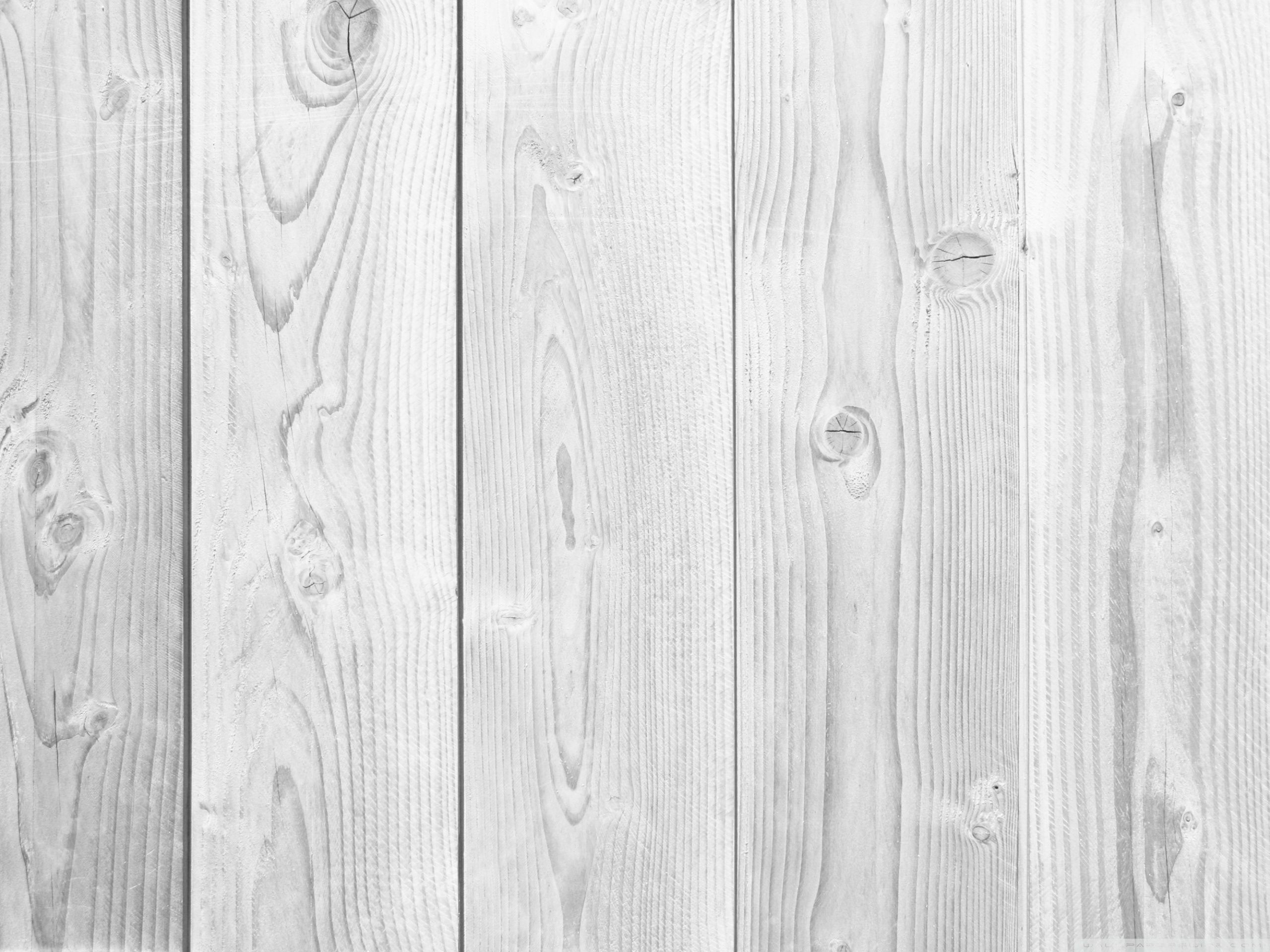 عکس پرکاربرد بافت چوب سفید مورد استفاده در معماری و گرافیک 