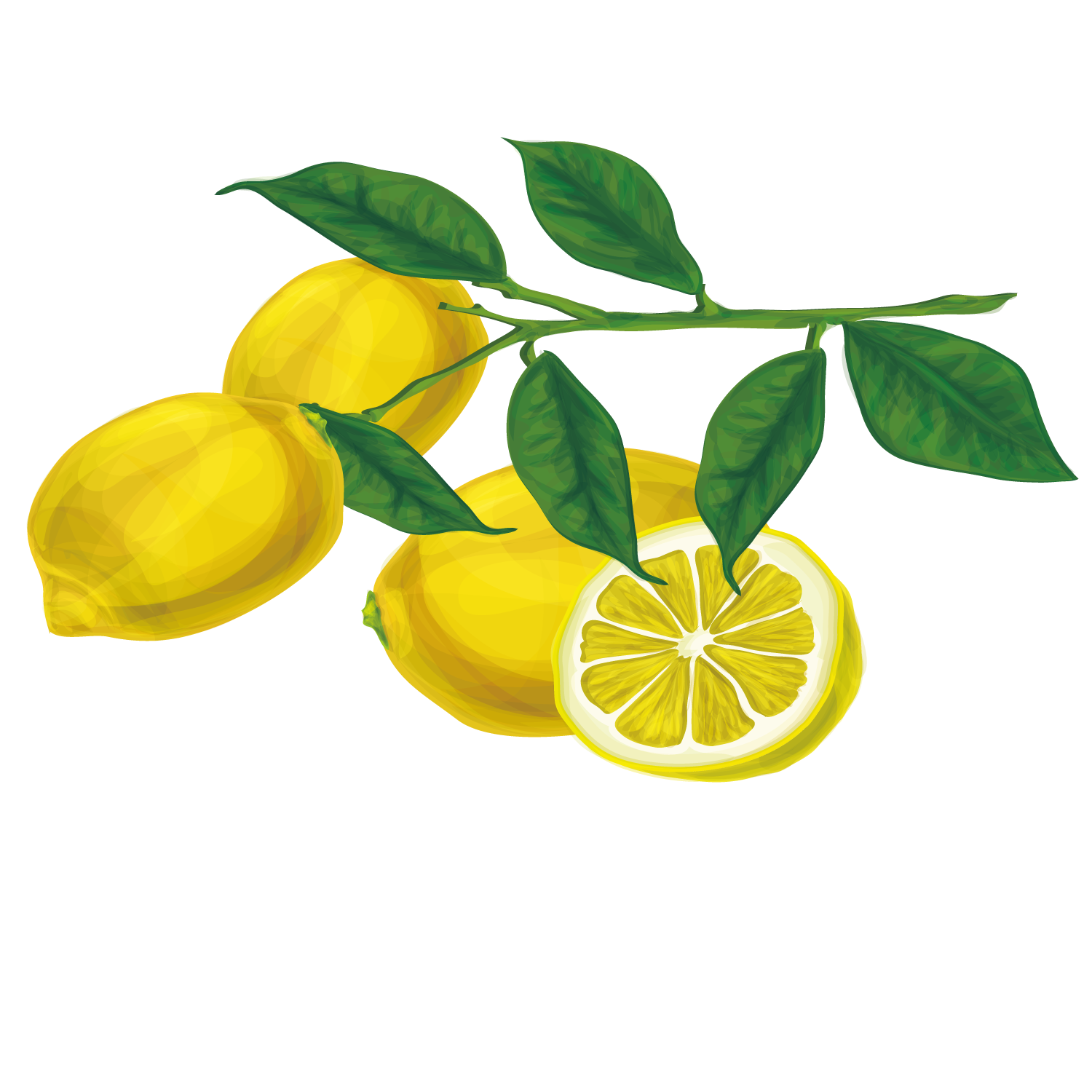 عکس منحصر به فرد و دیدنی از لیمو ترش با رنگ زیبا