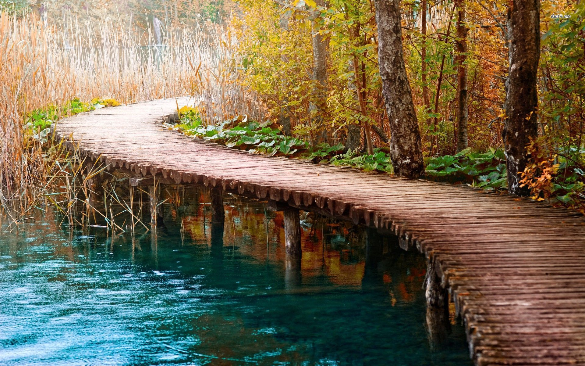 دریافت عکس استوک دیدنی از پل چوبی هلالی روی دریاچه