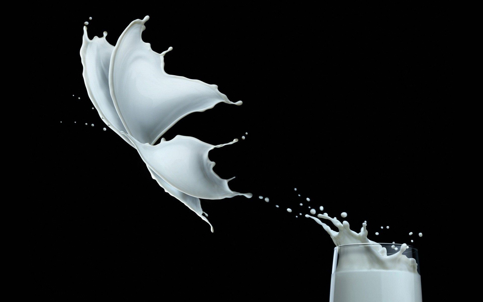 تصویر جالب و دیدنی از شیر خوشمزه به شکل پروانه 