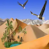 چاپ قاب موبایل و گوشی قاب full hd پرواز باشکوه عقاب ها در بیابان بالای برکه و درختان نخل