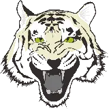 چاپ قاب موبایل و گوشی دانلود پی ان جی عکس سر ببر tiger سفید فانتزی وحشی