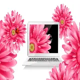 چاپ قاب موبایل و گوشی عکس استوک هنری ادیت و دوربری شده لپ تاپ و گل صورتی اثر هنری دیجیتال
