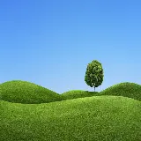 چاپ قاب موبایل و گوشی دانلود عکس فوق العاده زیبا از دشت سرسبز با درختی قشنگ 