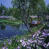 چاپ قاب موبایل و گوشی عکس تصویر زمینه از قایق سواری در دریاچه با نیلوفر های آبی