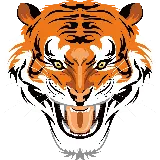 چاپ قاب موبایل و گوشی دانلود پی ان جی عکس سر ببر tiger نارنجی دیجیتالی وحشی