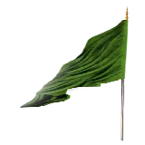 چاپ قاب موبایل و گوشی عکس پروفایل پرچم امام حسین (ع)
