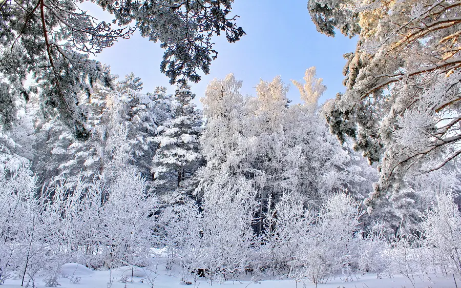 عکس فوق العاده آرامش بخش برفی از فصل زمستان 