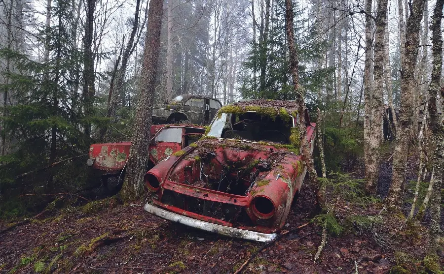 استوک از چند ماشین قدیمی رها شده در جنگل و طبیعت 