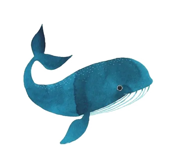 عکس کارتونی و انیمیشنی نهنگ آبی کیوت و بامزه PNG پی ان جی 