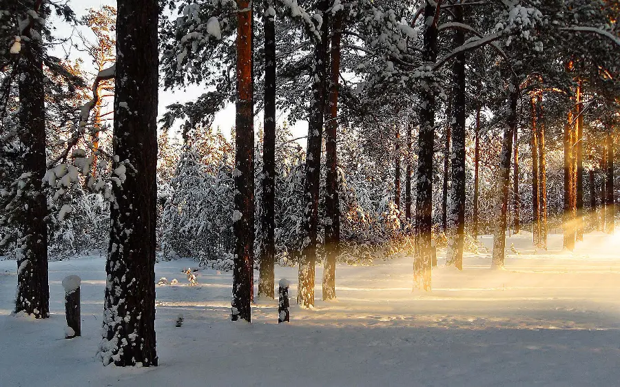 دانلود تصویر زمینه خاص و خفن با تم زمستان برای موبایل و تبلت 