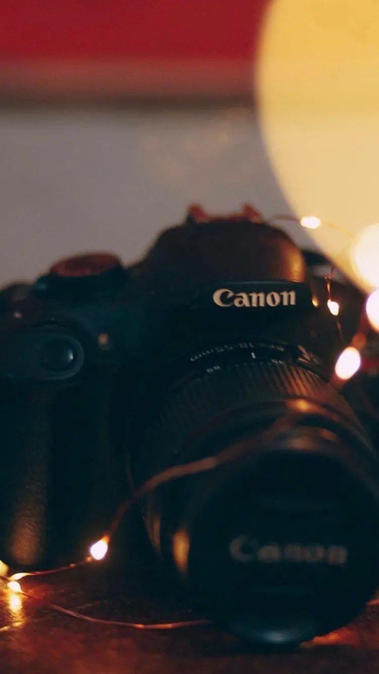 عکس تصویر زمینه دوربین کانن Canon Eos با انواع لنز بزرگنمایی زوم استاندارد و تله فوتو و واید عریض و ماکرو
