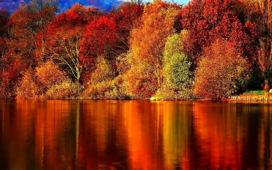 دانلود عکس پروفایل از منظره طبیعی درختان پر برگ و رودخانه آرام با تم پاییز