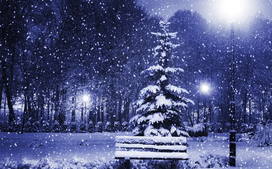 تصویر استوک از منظره شبانه رویایی فصل زمستان full HD 