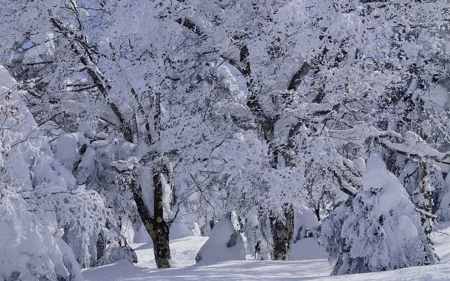 عکس استوک HD رایگان با تم زمستان پر برف افقی برای چاپ تابلو 