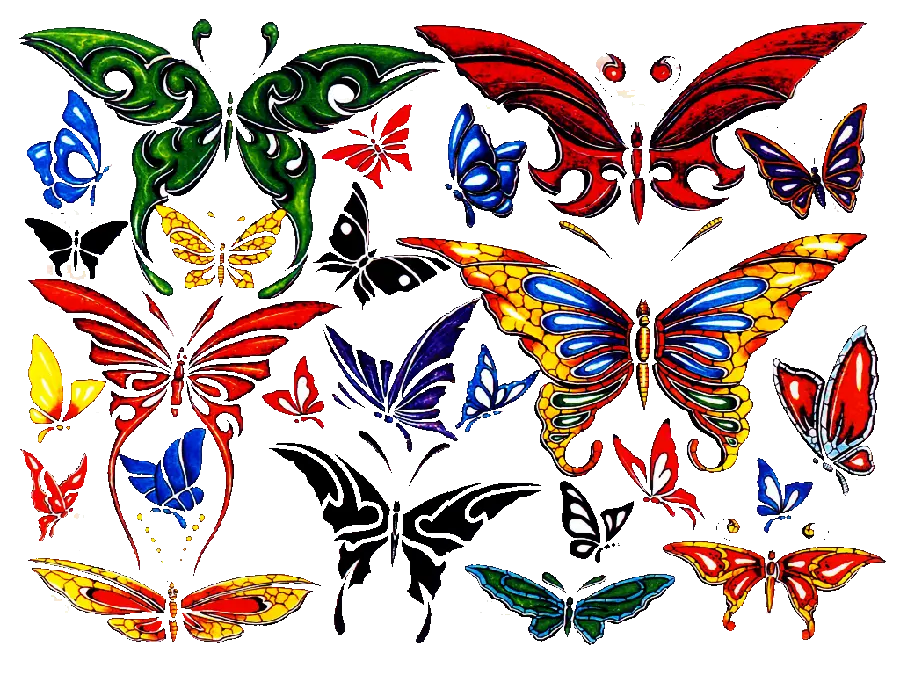 خوشگل ترین پی ان جی طرح پروانه های رنگی مناسب خالکوبی