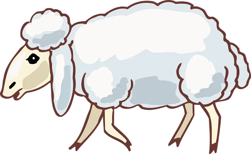 عکس بدون زمینه نقاشی گوسفند کارتونی سفید پشمالو با فرمت PNG