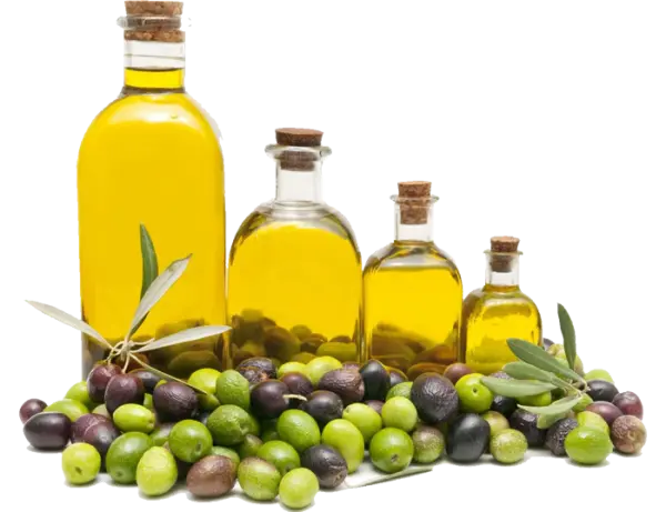 روغن زیتون نماد ثروت در برخی از تمدن های باستانی