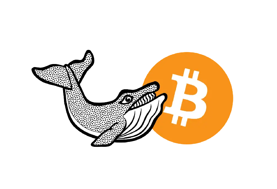 دانلود عکس PNG و دور بریده شده نهنگ بیت کوین BTC مخصوص طراحی لوگو 