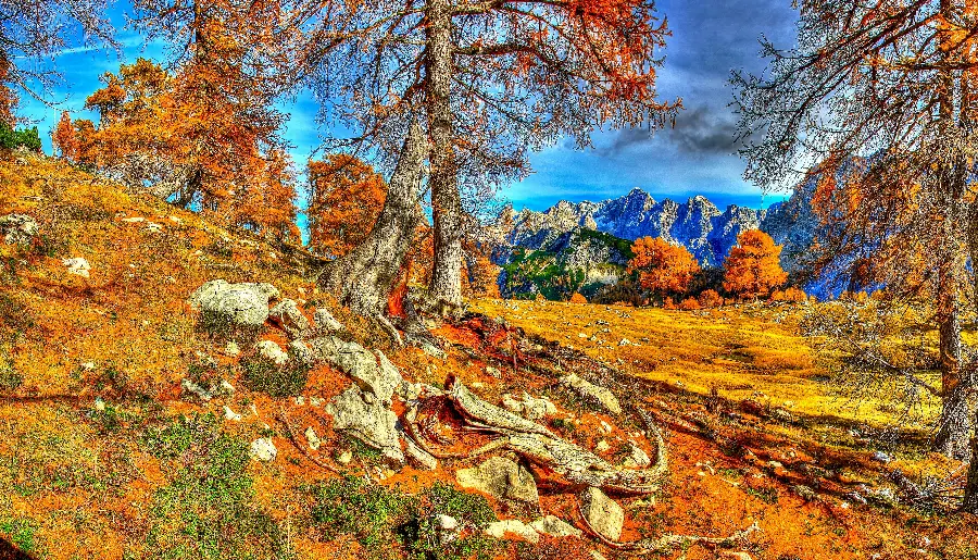 جالب ترین عکس طبیعت پاییزی با برگ های زرد و نارنجی 