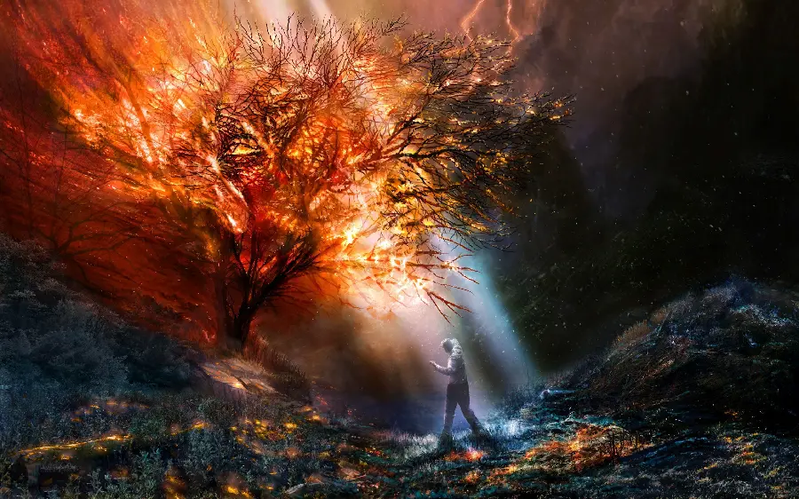 تصویر زمینه و بک گراند تخیلی فانتزی درخت آتشین 2024