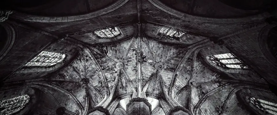 عکس زمینه از سقف کلیسای جامع گوتیک در تم سیاه و سفید