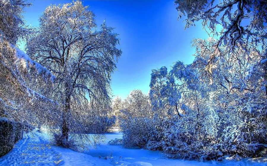 دانلود عکس استوک رویایی ترین منظره زمستانی برای چاپ تابلو 