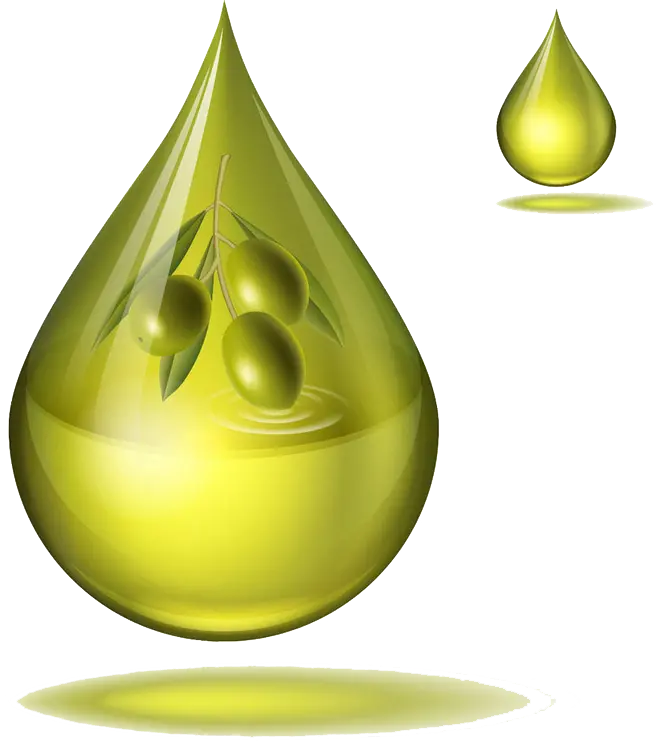 دانلود عکس پروفایل PNG روغن زیتون با خواص دارویی و غذایی 