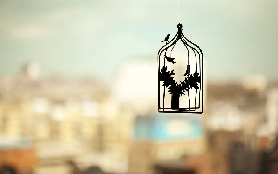 دانلود تصویر فوق العاده زیبا و دیدنی با کیفیت منحصر به فرد 