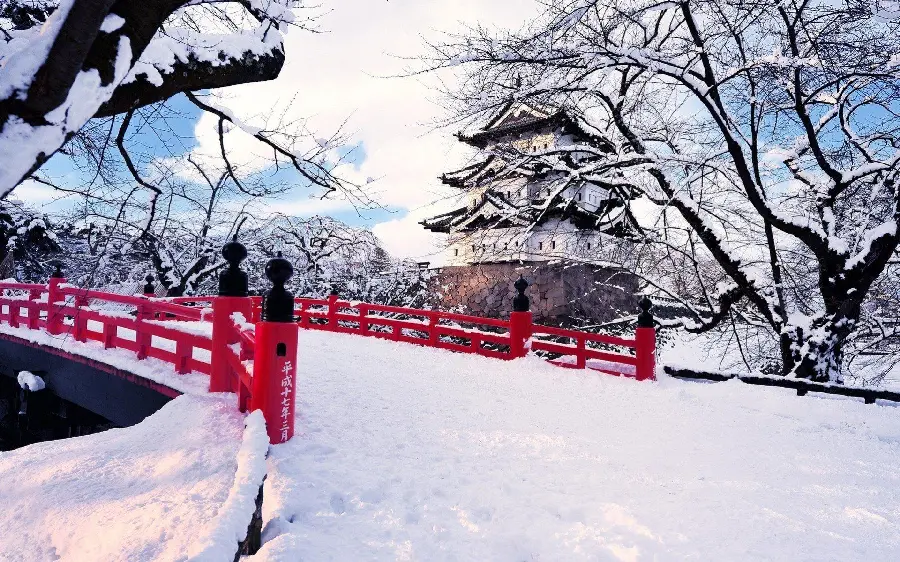 دانلود تصویر زمینه چتر برفی در زمستان رویایی با بالاترین کیفیت 