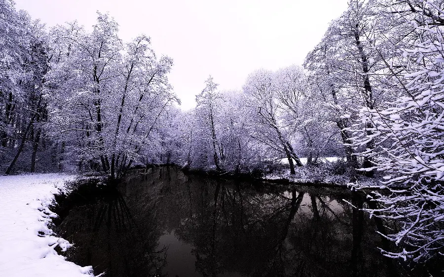 دانلود بکگراند فوق العاده زیبای طبیعت برفی و زمستانی 