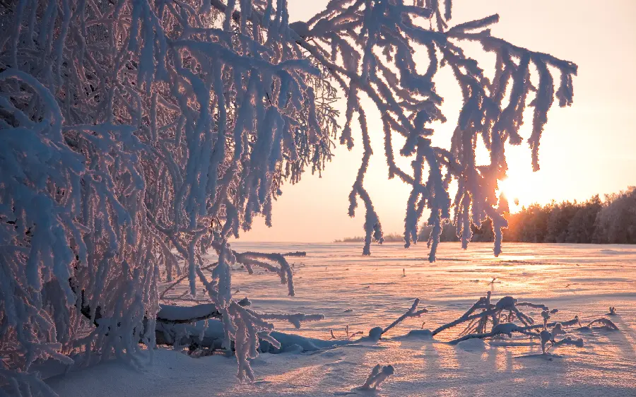 عکس استوک ساده برف و زمستان برای چاپ با عالی ترین کیفیت 