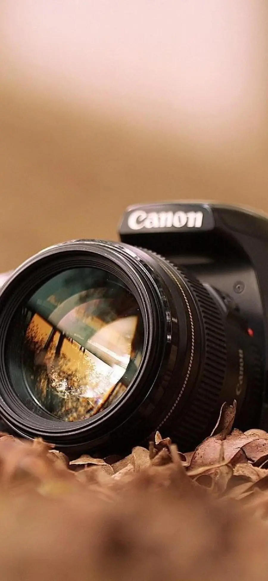 کاغذدیواری دوربین های میرورلس حرفه ای Canon مناسب فیلمبرداری و تولید محتوا به صورت ویدیویی 
