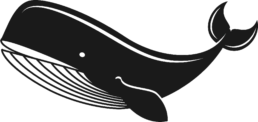 دانلود عکس دوربریده شده نهنگ با فرمت PNG بدون زمینه 