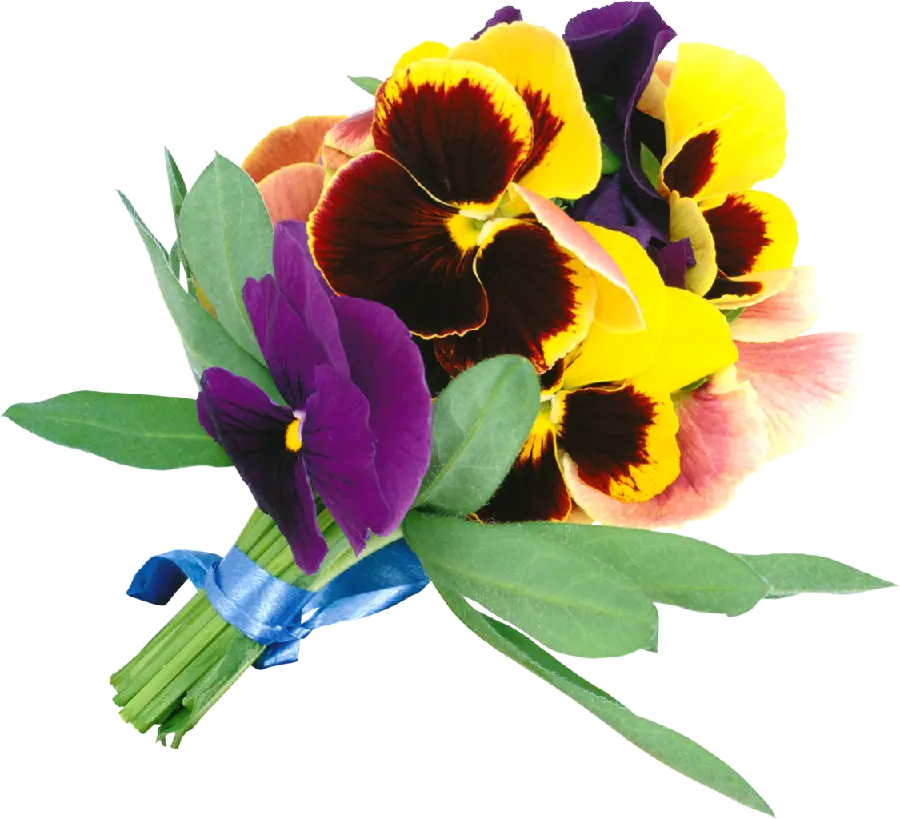 عکس دسته گل زیبا برای هدیه در فرمت png با کیفیت بالا
