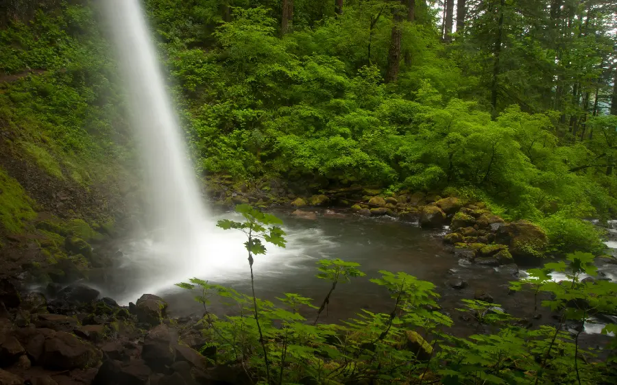 آبشار بلند وسط جنگل مناسب پروفایل 