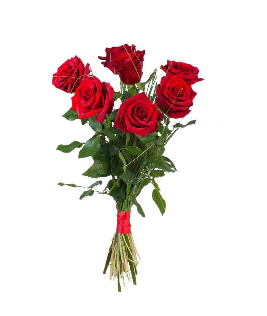 عکس پی ان جی شاخه گل های رز ویژه استفاده در کارت پستال
